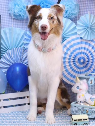 20231125レイくん